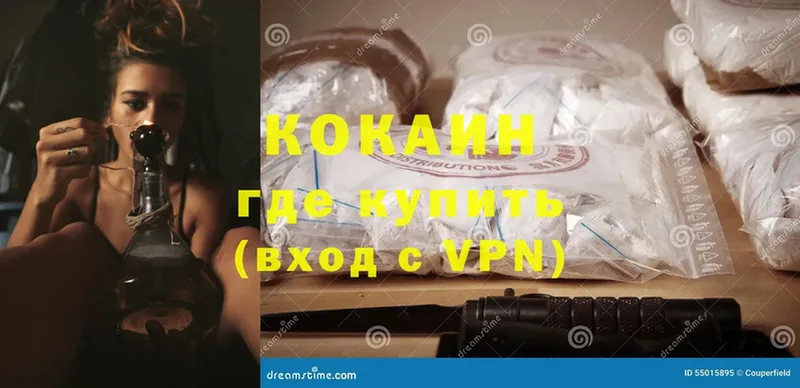 купить наркоту  Городовиковск  Cocaine Fish Scale 